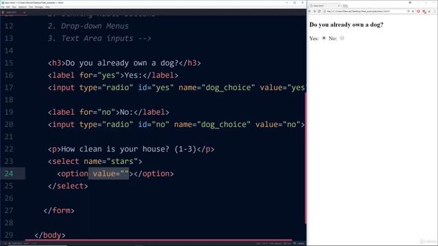 11 Forms Selections | Python and Flask Boot Camp Create Websites using Flask! смотреть онлайн