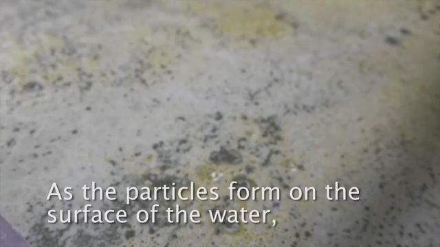 Overview: The Smart Algae Harvester смотреть онлайн
