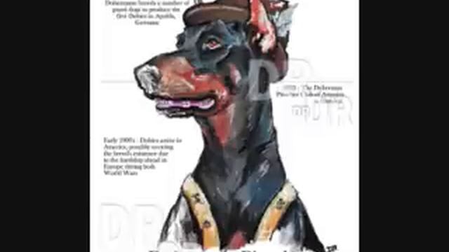 Top 10 Smartest Dogs смотреть онлайн
