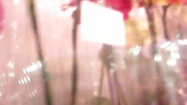 Новый завоз орхидей от 27.12.2019г. смотреть онлайн