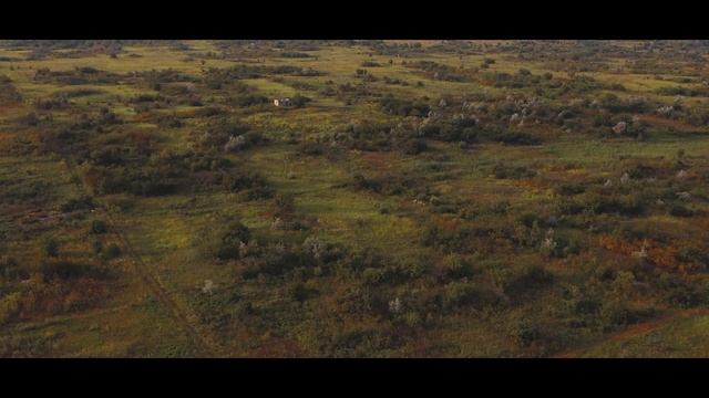 Истребители чудовищ | Дело №1 Вишнёвый сад