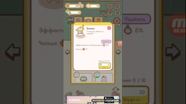 играю в игру Cat Spa