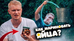 Нашел гнездо - маринуй яйца!