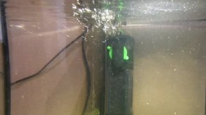 Фильтр внутренний Tetra "IN 400 Plus", для аквариумов до 60 литров.Рекомендую!