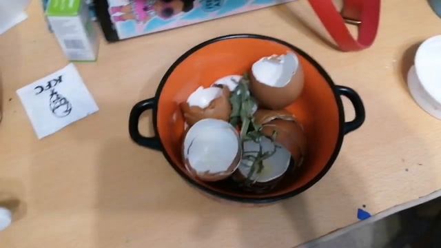 Советы для улитководов смотреть онлайн