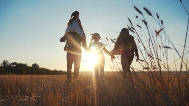 Magnesium + Vitamin B-Complex Sticks смотреть онлайн