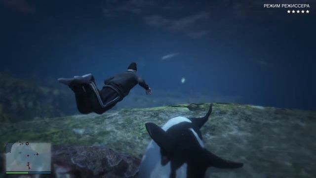 Нашел КАСАТКУ в гта 5 смотреть онлайн