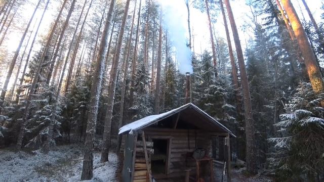 ЧП Ночью в Лесной Избе.Два дня в Лесу.Салат из Копчёной Щуки. смотреть онлайн