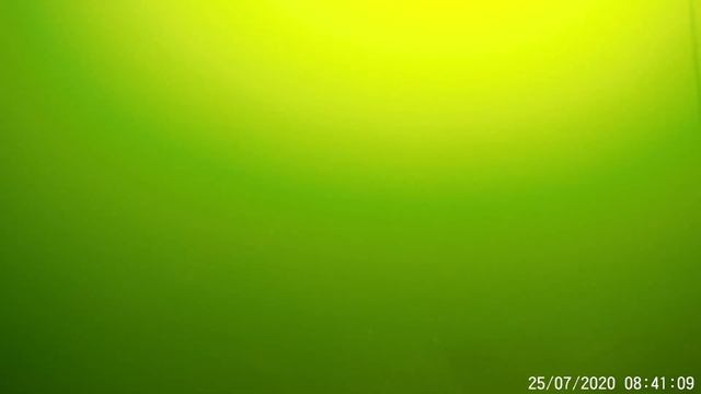 Озеро Плещеево 2020.07.25 (подлещики кормятся) смотреть онлайн