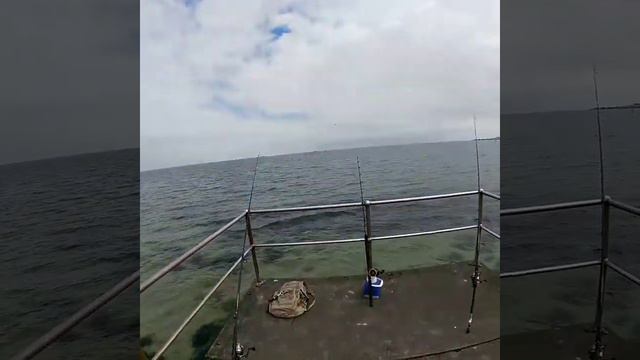 SWELL PRO SPLASH DRONE 3+ drone fishing bait launch смотреть онлайн