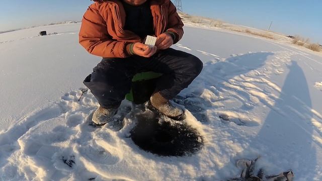 Ведро окуня в час, клев окуня ,как из пулемета смотреть онлайн