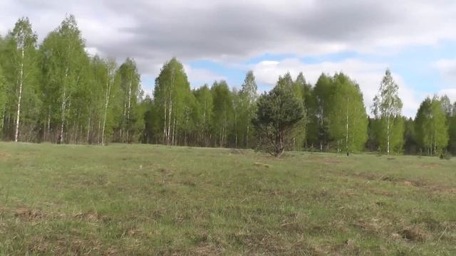 Ухожу от волков. смотреть онлайн