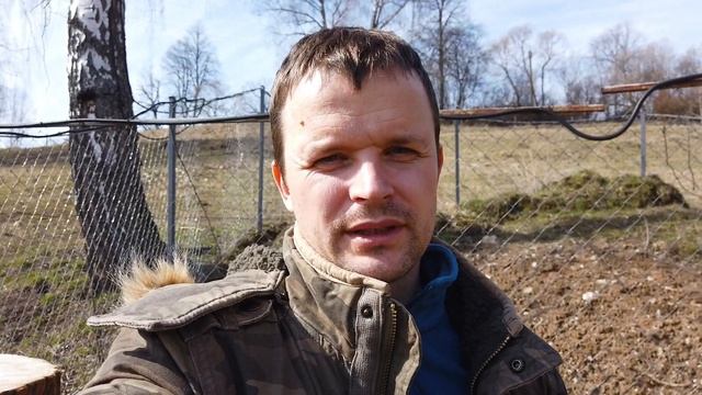 Самоизоляция в деревне - интереснее, чем в городе. смотреть онлайн