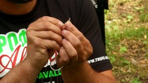 Ловля сома. Часть 9.1 - "Донная ловля на живца"