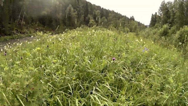 Выше устья Тузгуша. смотреть онлайн