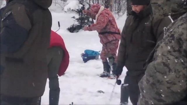 Поимки форели на запуске. Рыбалка со льда на Верхнем. Клёвое место Лосиный остров. смотреть онлайн