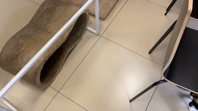 влог 6 / жизнь админа в котокафе смотреть онлайн