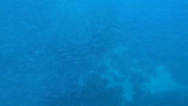 Deep Sea Kayak Fishing an Uninhabited Island 50 Miles Offshore (CATCH & COOK) смотреть онлайн