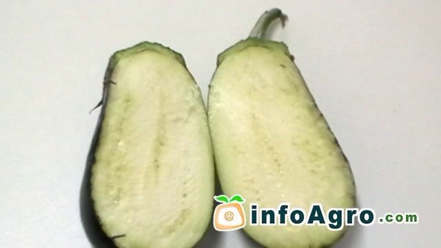 Выращивание баклажана. 1/2 смотреть онлайн