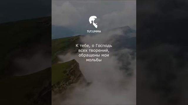 Слова имама аш-Шафии перед смертью смотреть онлайн