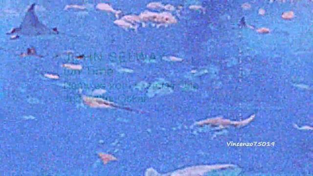 John Selway - On Time (Arthur Oskan Remix) TULIPA061 смотреть онлайн