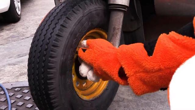 #WAYOFATIGER Тук-тук в беде. Tuk tuk in trouble смотреть онлайн