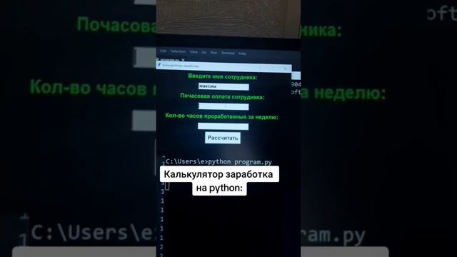 Калькулятор заработка на Python смотреть онлайн