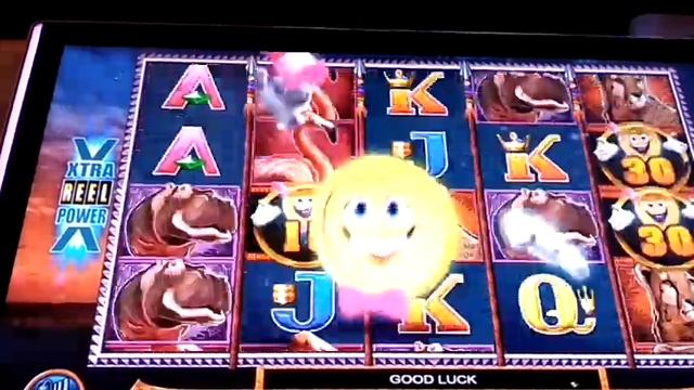 Mighty Cash Safari SLOT BONUS at the Flamingo Hotel in Las Vegas смотреть онлайн