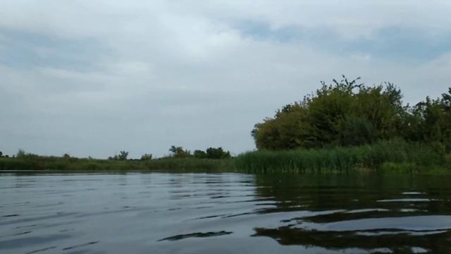 Терса 2019, заплыв перед отъездом смотреть онлайн