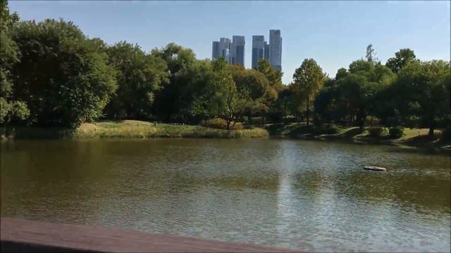 A scrumptious vlog to seoul, korea смотреть онлайн