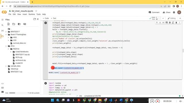3D-Unet model for Brain tumor segmentation - Brats Dataset -Python смотреть онлайн