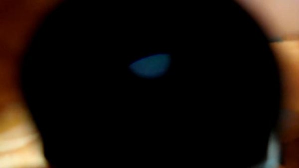 Микроскоп 60X to 100X Zoom Microscope