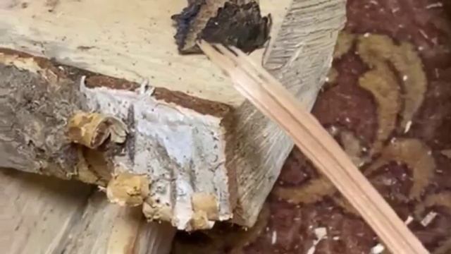 Бабочка зимой. Чудеса перед Новым годом. смотреть онлайн