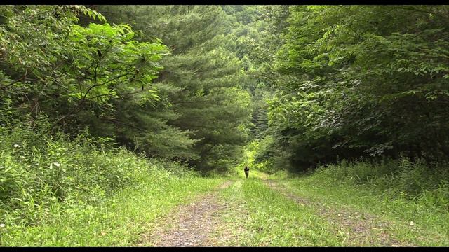 How Much Is the Khard? - Arc'teryx Khard 45 vs Vanquest IBEX 30 - Vesus - Ep.5 смотреть онлайн