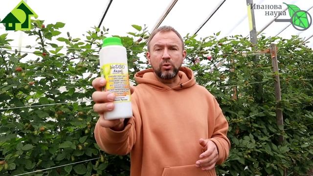 ХОТИТЕ ВЗРЫВНОЕ УВЕЛИЧЕНИЕ УРОЖАЯ ТОМАТА, ОГУРЦА и ДРУГИХ ОВОЩЕЙ? АИДИС из созвездия BioDSO поможет смотреть онлайн