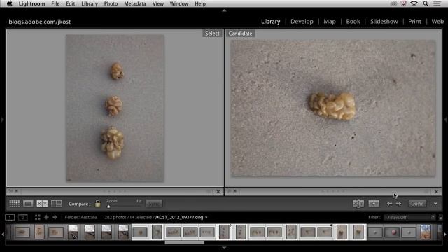 Lightroom 5: Select, Rate and Prioritize Your Images смотреть онлайн