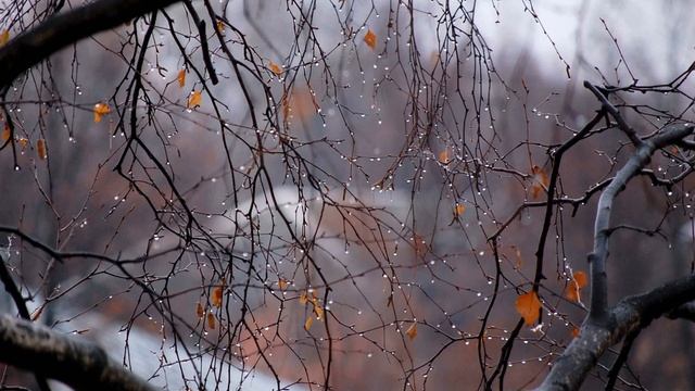 Осенние слезы смотреть онлайн