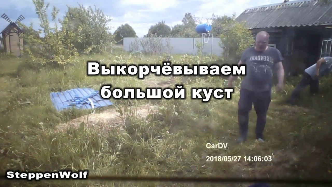 Выкорчёвываем большой куст смотреть онлайн