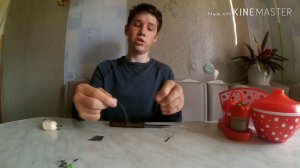 САМАЯ УЛОВИСТАЯ ЛЕТНЯЯ СНАСТЬ НА ЩУКУ