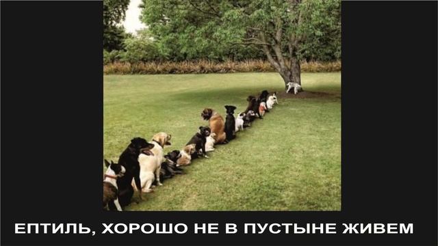 ФОТО ПРИКОЛЫ ВИДЕО ПОДБОРКА ПРИКОЛЬНЫХ СМЕШНЫХ ФОТОГРАФИЙ С надписями смотреть онлайн