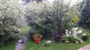 Дождеватель Leroymerlin - NoName, yelow