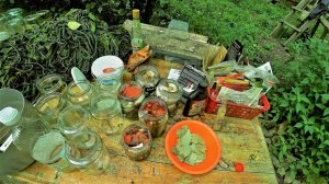 Закручиваем тушенку с дикого мяса и консервы с хариуса. СТРОИМ ЗИМОВЬЕ!