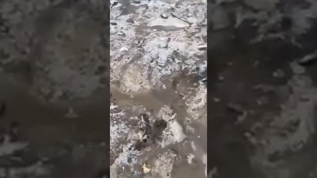 Последствия ракетных ударов ВС РФ в Харьковской области. смотреть онлайн