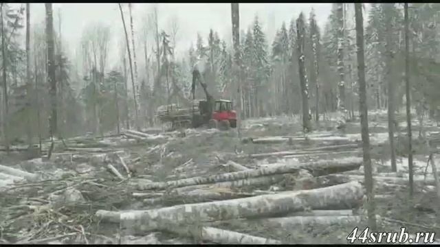 Вывозка зимнего северного леса из делянки смотреть онлайн