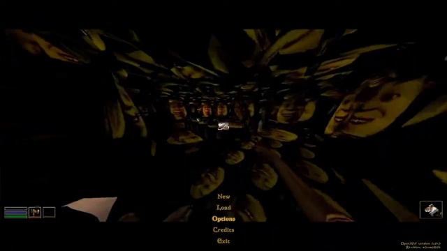 Probably Morrowind смотреть онлайн