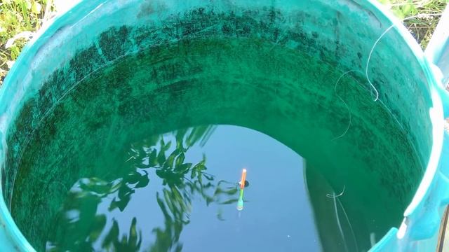 Карась самый живучий! РЫБАЛКА в БОЧКЕ на ПОПЛАВОК смотреть онлайн