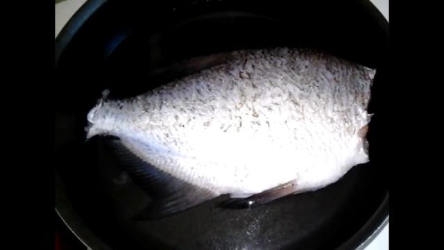 Музыкальные Перформансы и Импровизации