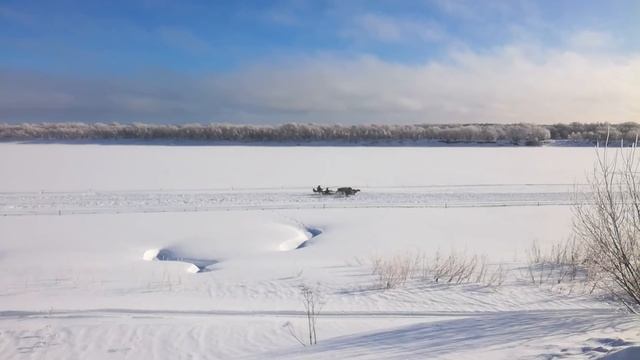 Гонки на оленях Пинега смотреть онлайн
