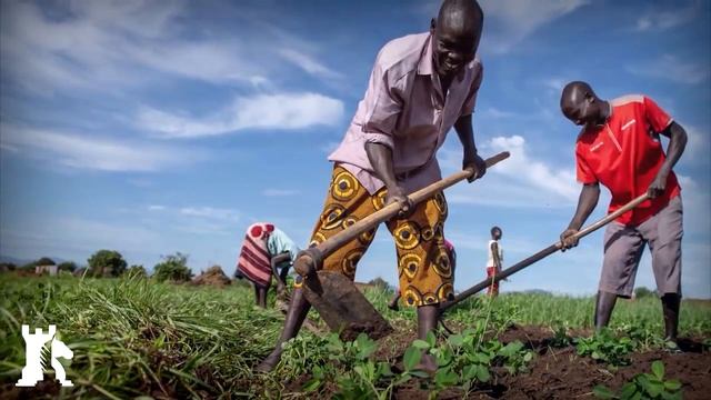 Геополитические цели и задачи Египта [CR] смотреть онлайн