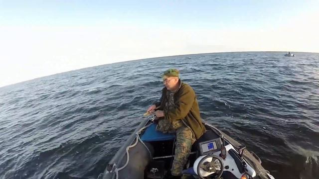 Чудское июль 2017 окунь смотреть онлайн